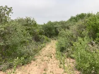 2520 Pr 334, Hawley, TX 79525 - #2