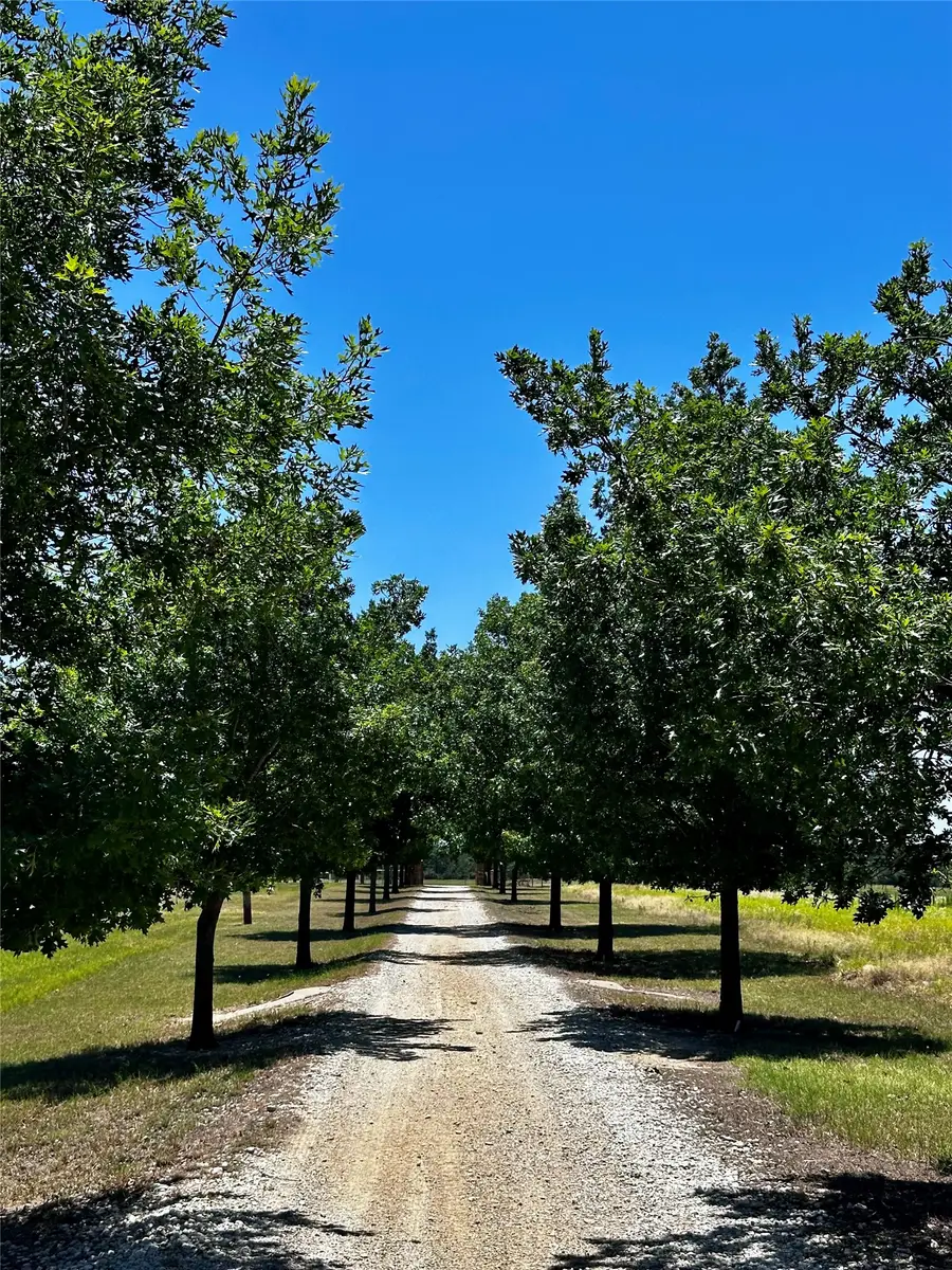 7846 County Road 452, Cross Plains, TX 76443 - #2