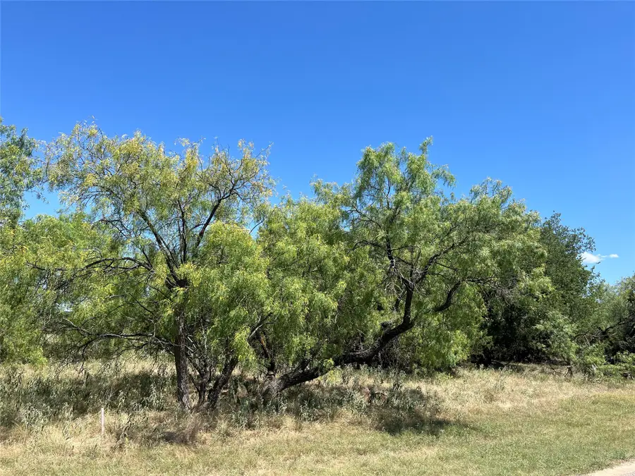 42143 Glen Eagles Drive, Whitney, TX 76692 - #2