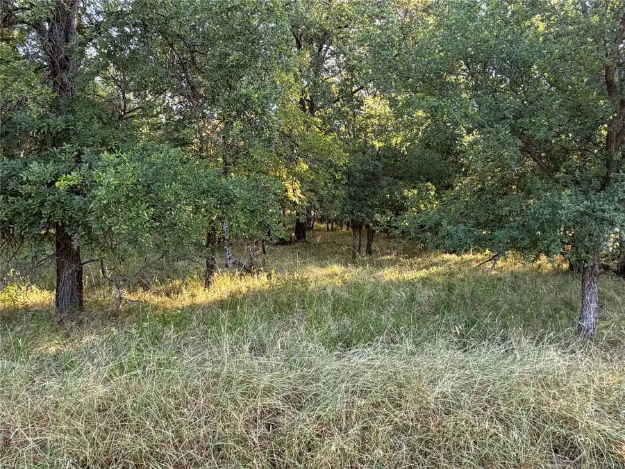 576 Willow Drive, May, TX 76857 - #2