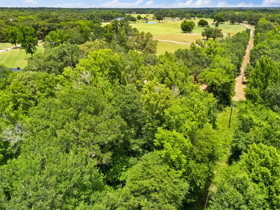 510 Vz County Road 1806, Grand Saline, TX 75140 - #2