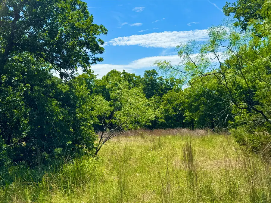 350 Indian Camp Road, Weatherford, TX 76088 - #3