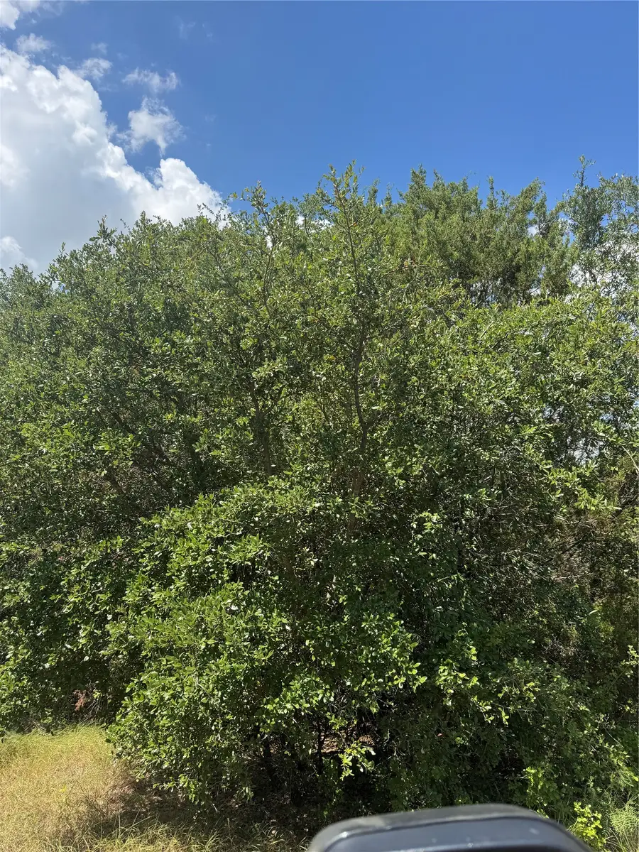 3530 Acton Highway, Granbury, TX 76049 - #3