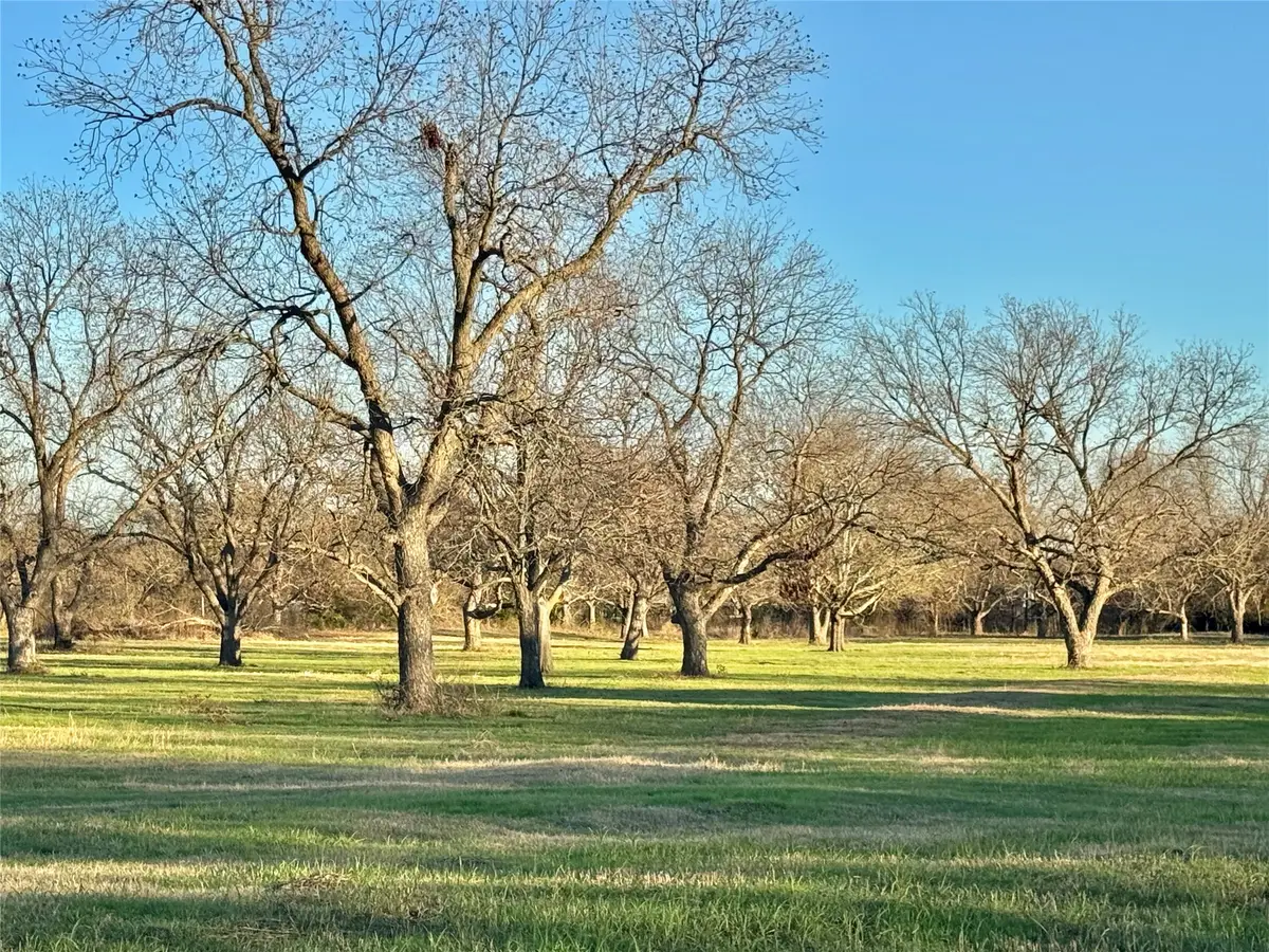 738 Cole Street, Gainesville, TX 76240 - #1