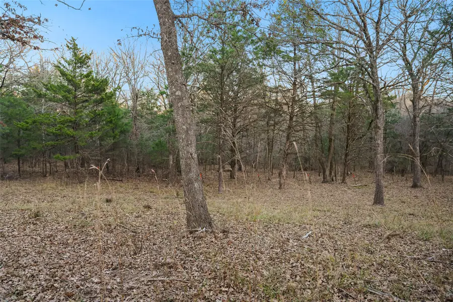 344 Rs County Road 4254, Point, TX 75472 - #2