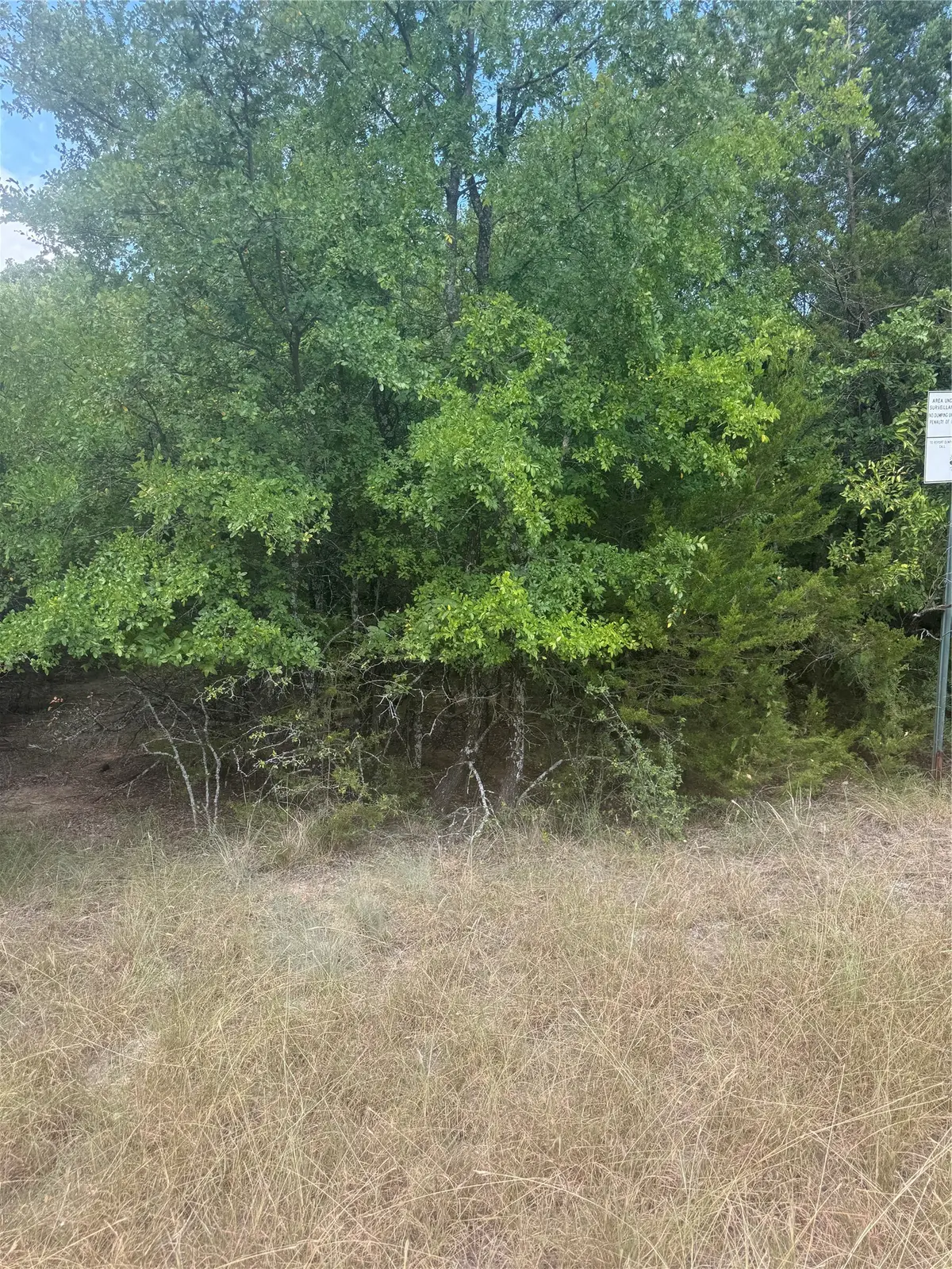 3821 Birdsong Court, Granbury, TX 76049 - #1