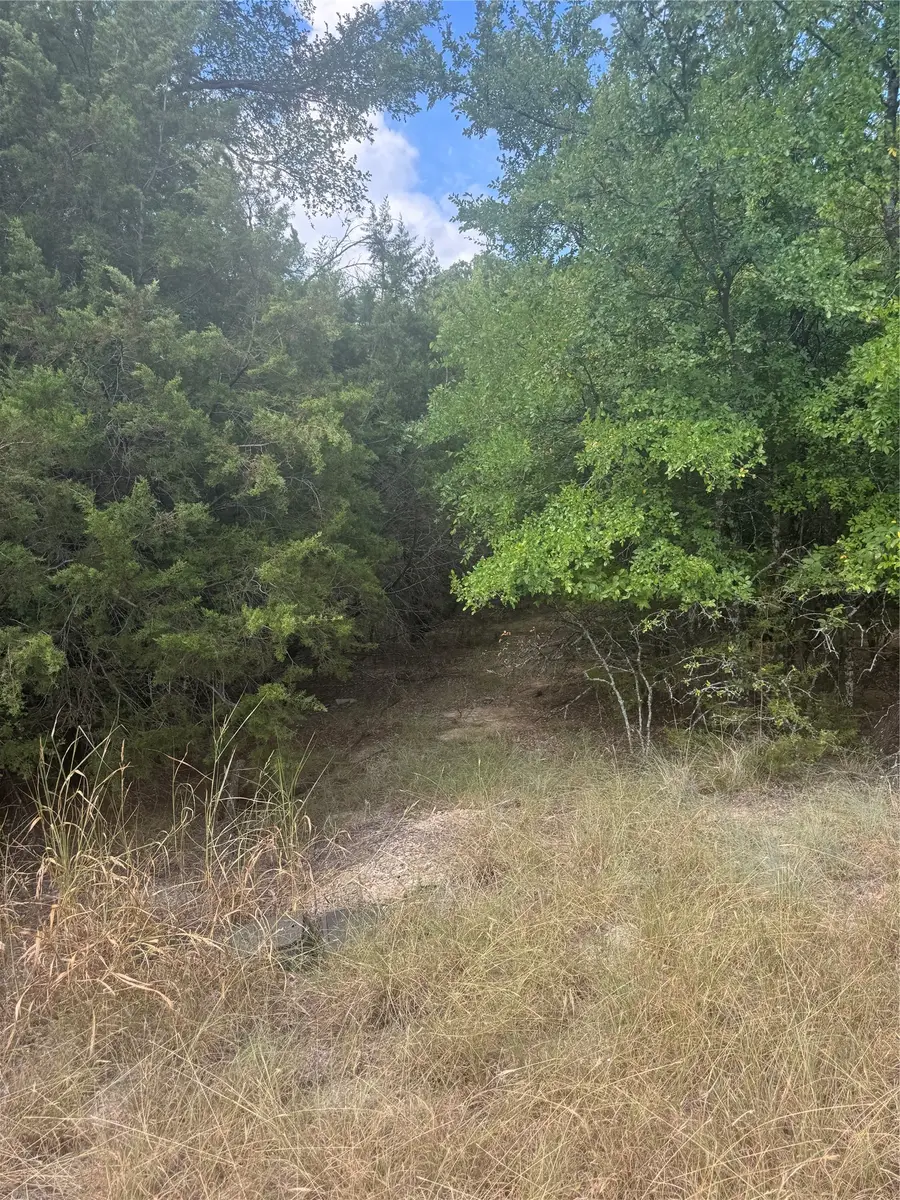 3821 Birdsong Court, Granbury, TX 76049 - #2