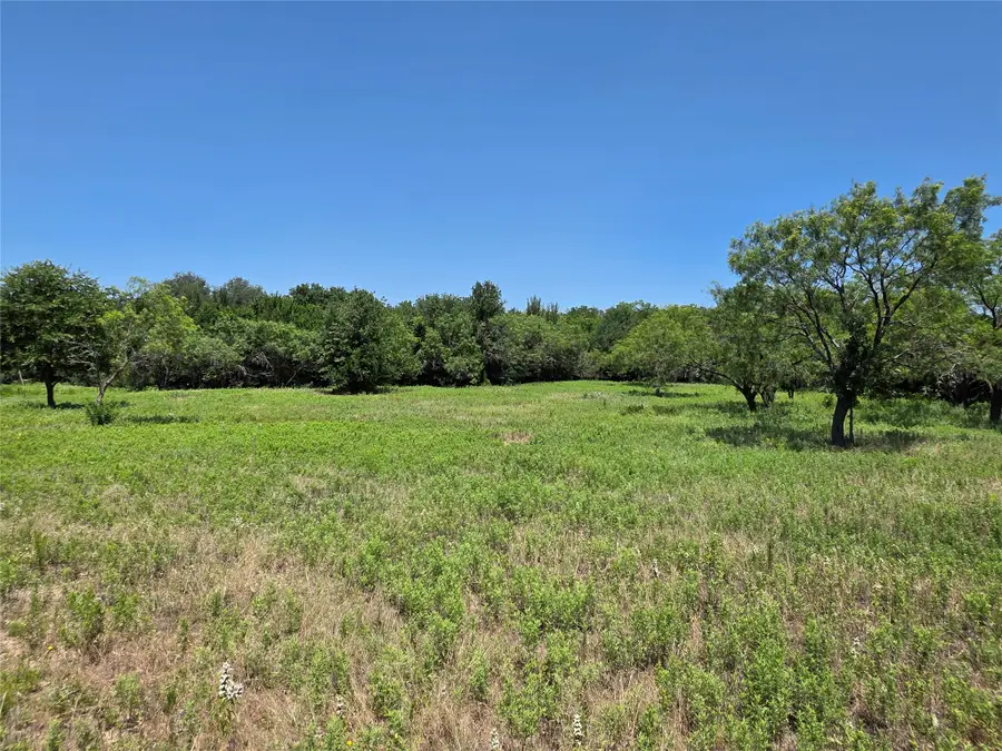 16695 County Road 421, Cross Plains, TX 76443 - #3