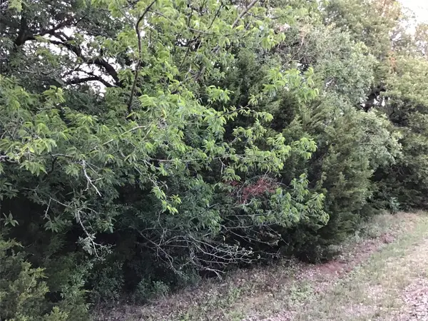 44021 Fringewood Drive, Whitney, TX 76692