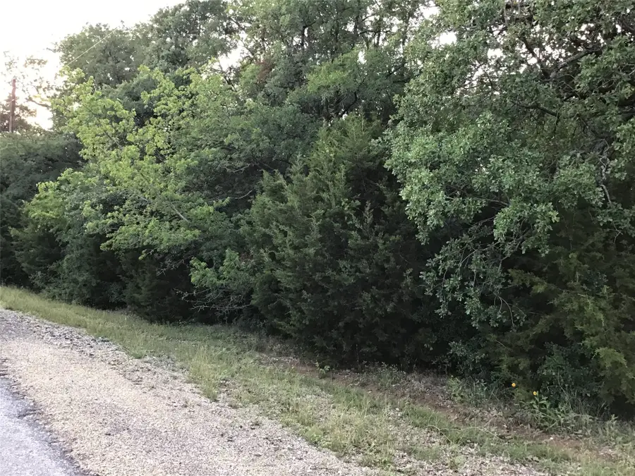 44021 Fringewood Drive, Whitney, TX 76692 - #2