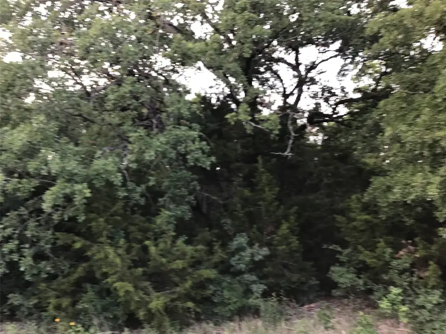 44021 Fringewood Drive, Whitney, TX 76692 - #3