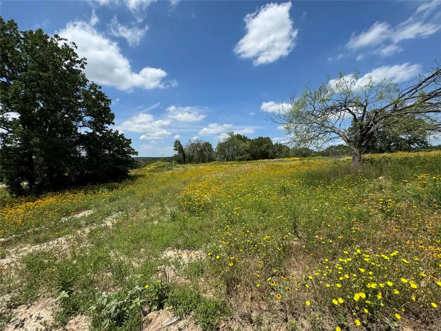 1059 Glenoaks Drive, Weatherford, TX 76088 - #3