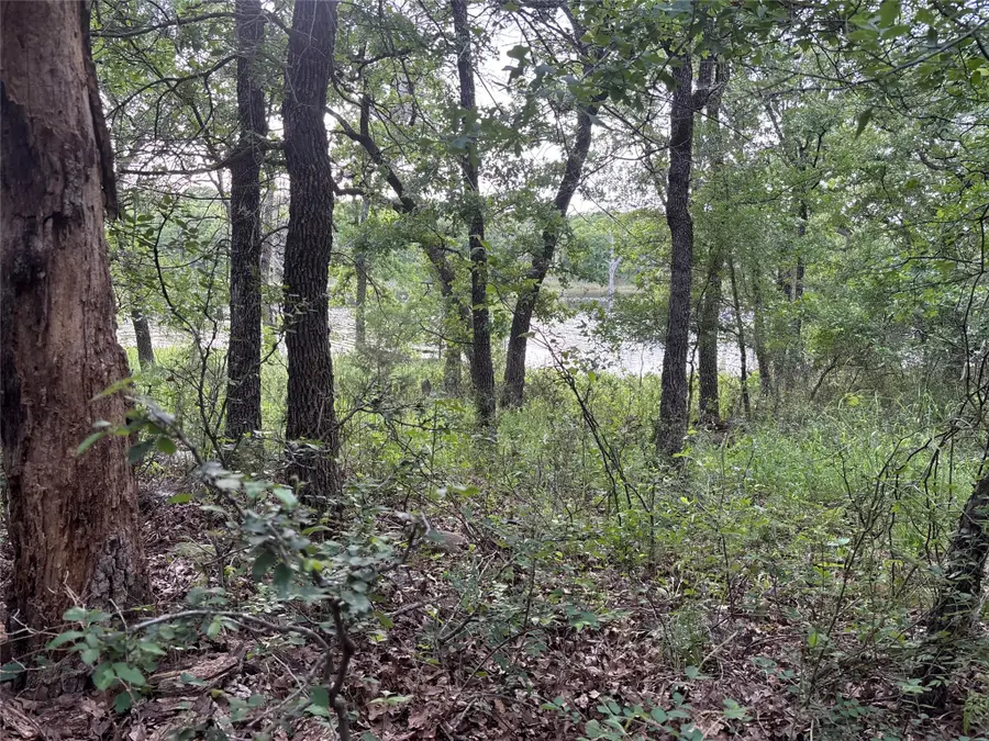 153 Post Oak Cove, Sunset, TX 76270 - #3