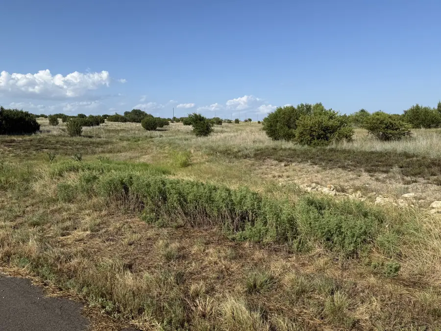 706 Rory Crossing, Lipan, TX 76462 - #2