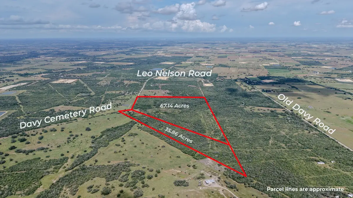 TBD Davey Cemetery Road, Yorktown, TX 78164 - #1