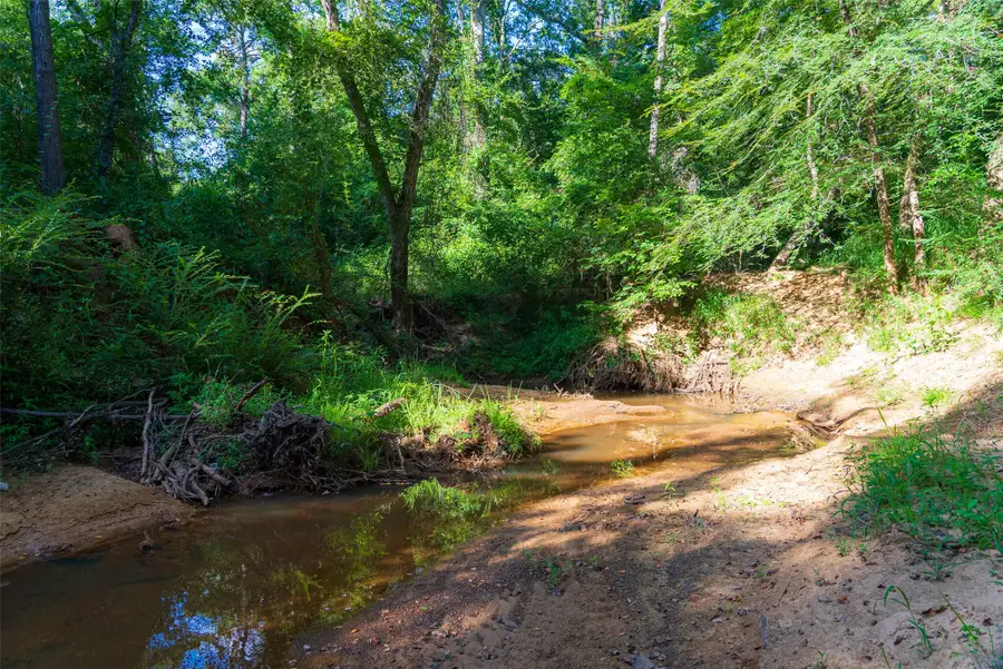 00 County Road 1310, Rusk, TX 75785 - #3