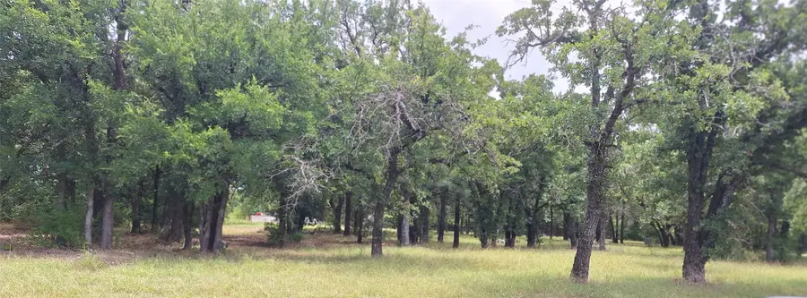 699 County Road 529, Eastland, TX 76448 - #2
