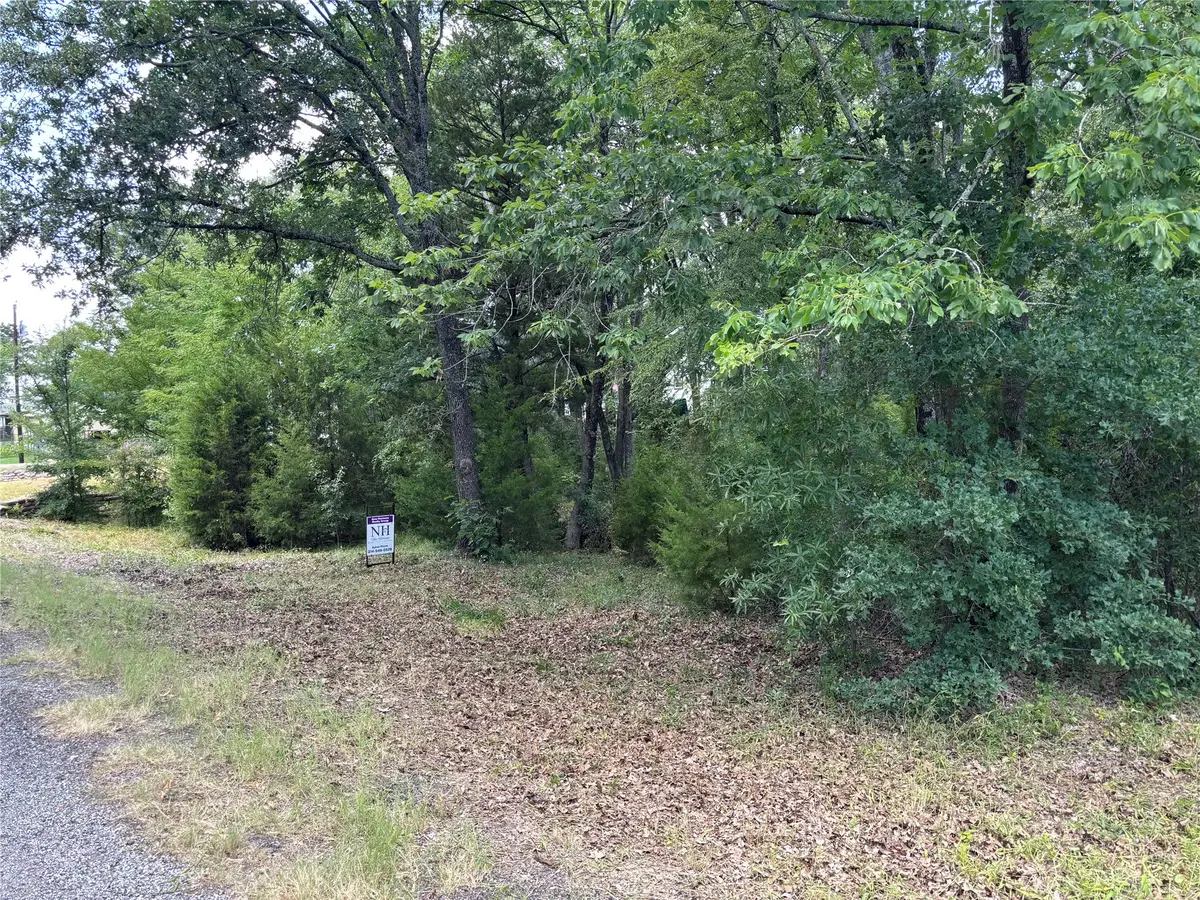 6134 Tejas Drive, Mabank, TX 75156 - #1