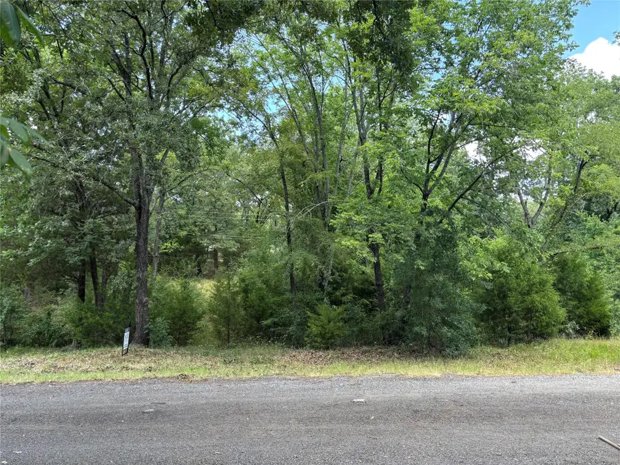 6134 Tejas Drive, Mabank, TX 75156 - #3