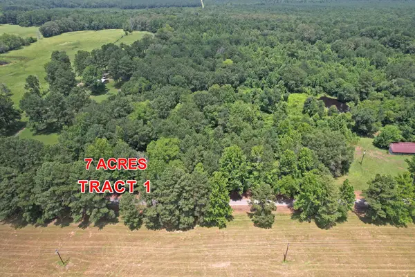 Tract 1 County Road 3117, Clarksville, TX 75426