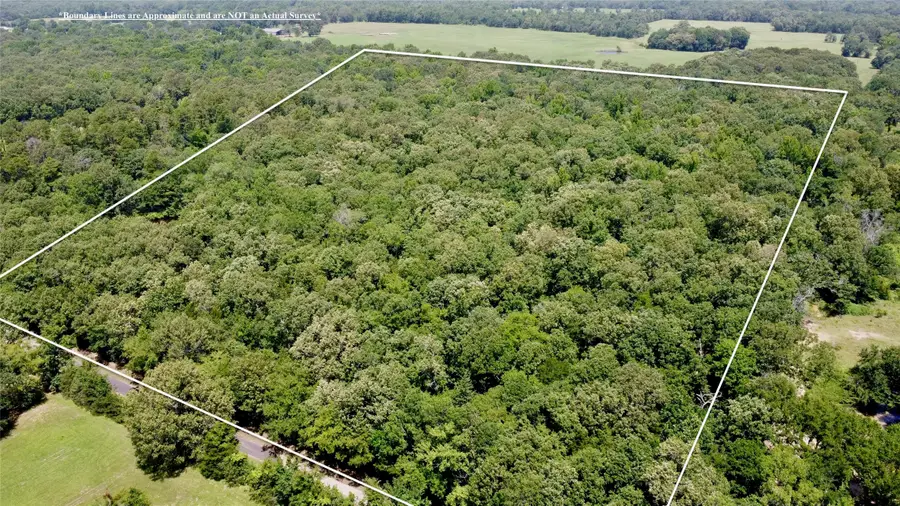 Tract 7 Cr 44400, Powderly, TX 75473 - #3
