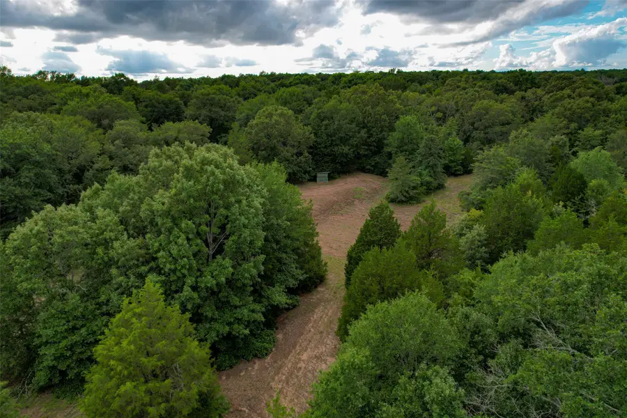 8690 County Road 1119, Athens, TX 75751 - #2