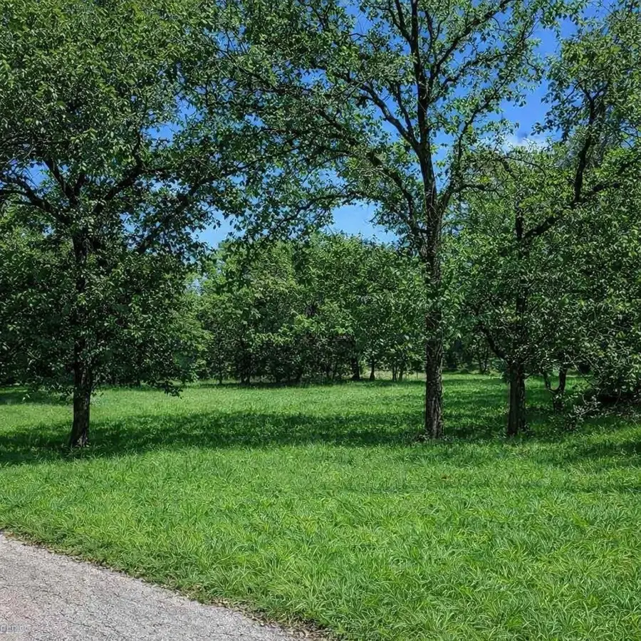 196 Johnston Lane, Runaway Bay, TX 76426 - #3