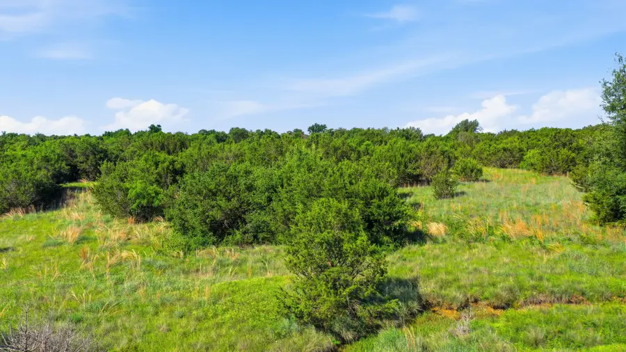 100 Gilmore Court, Lipan, TX 76462 - #2