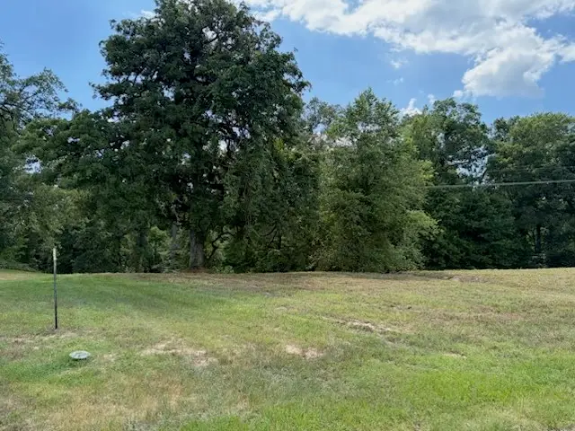 TBD Cypress Creek Drive, Diana, TX 75640 - #1