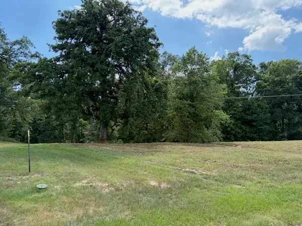 TBD Cypress Creek Drive, Diana, TX 75640