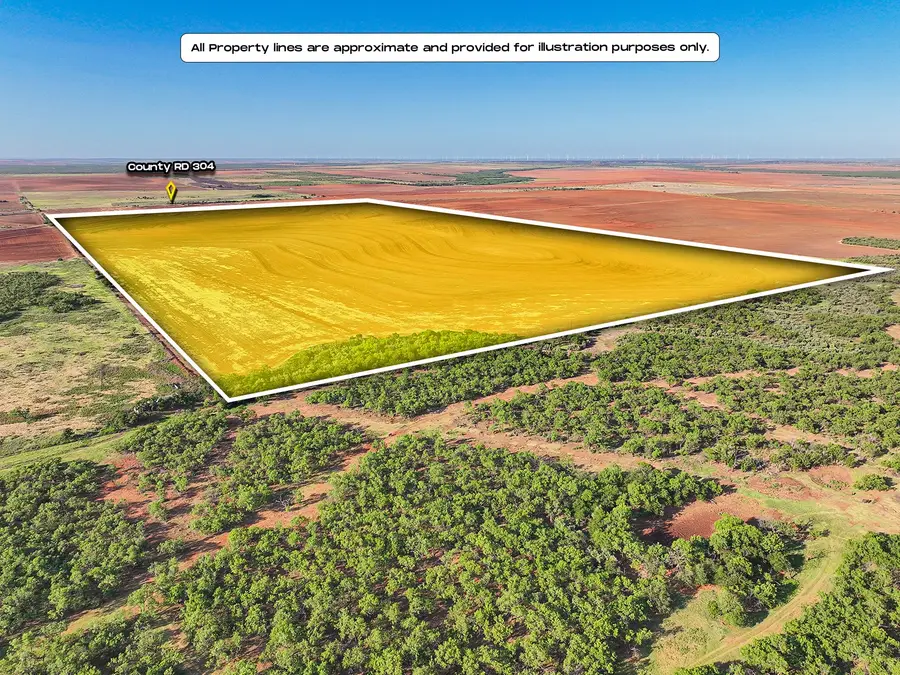 APN 3166 Country Road 304, Roby, TX 79543 - #3