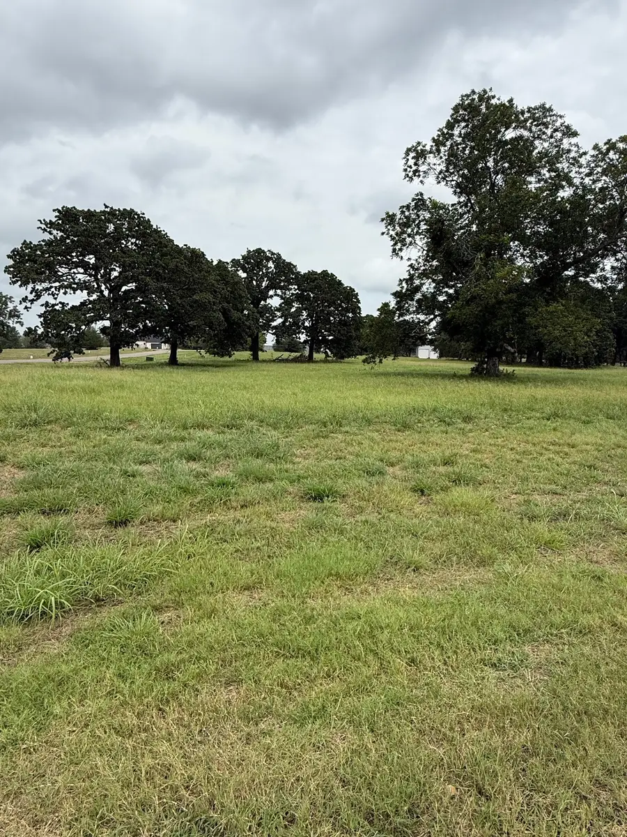 240 Shoreline Drive, Dodd City, TX 75438 - #3