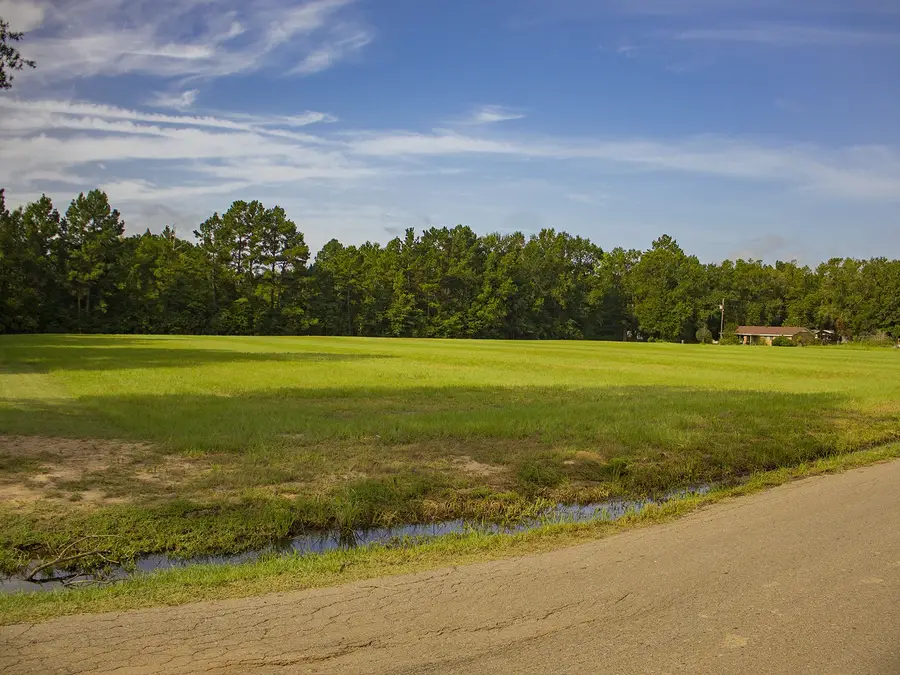 TBD Sweet Gum Road, Gladewater, TX 75647 - #3