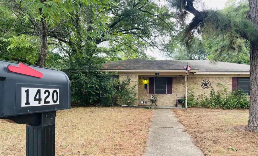 1420 Sycamore Avenue, Corsicana, TX 75110 - #3