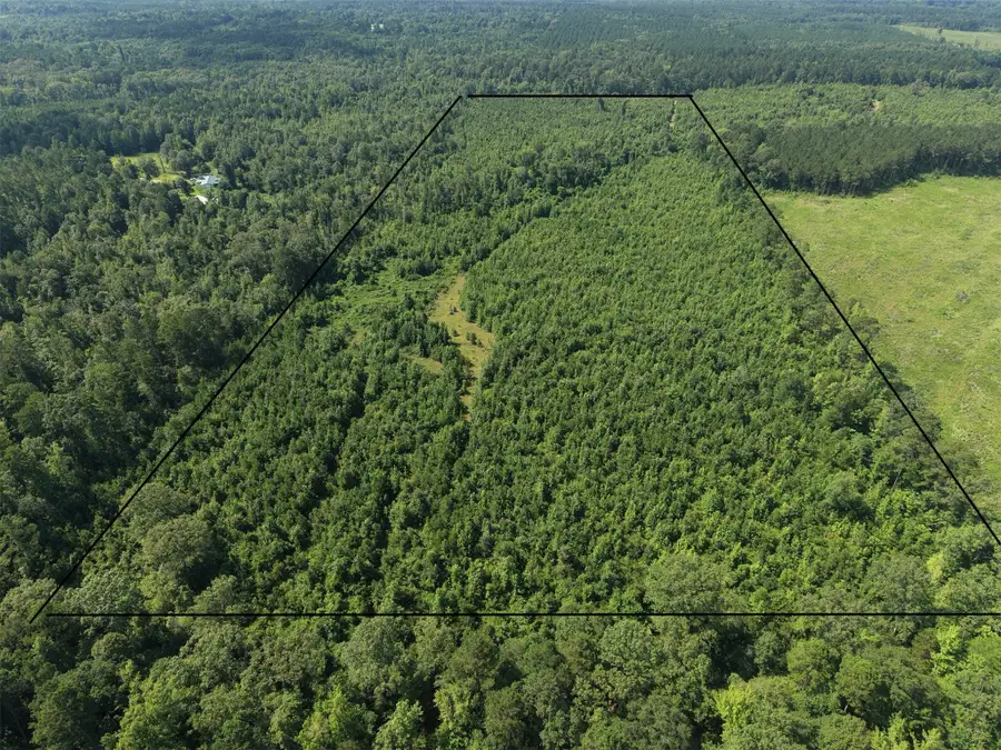 0000 County Road 2339, Marietta, TX 75566 - #2