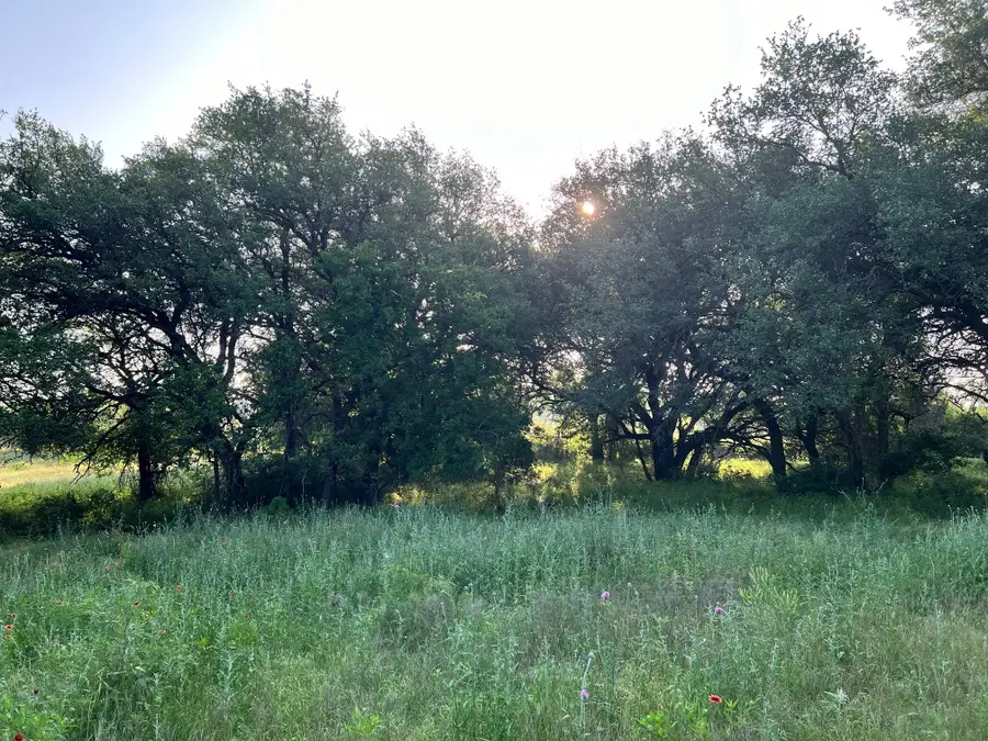 TBD S Hwy 16, Comanche, TX 76442 - #2