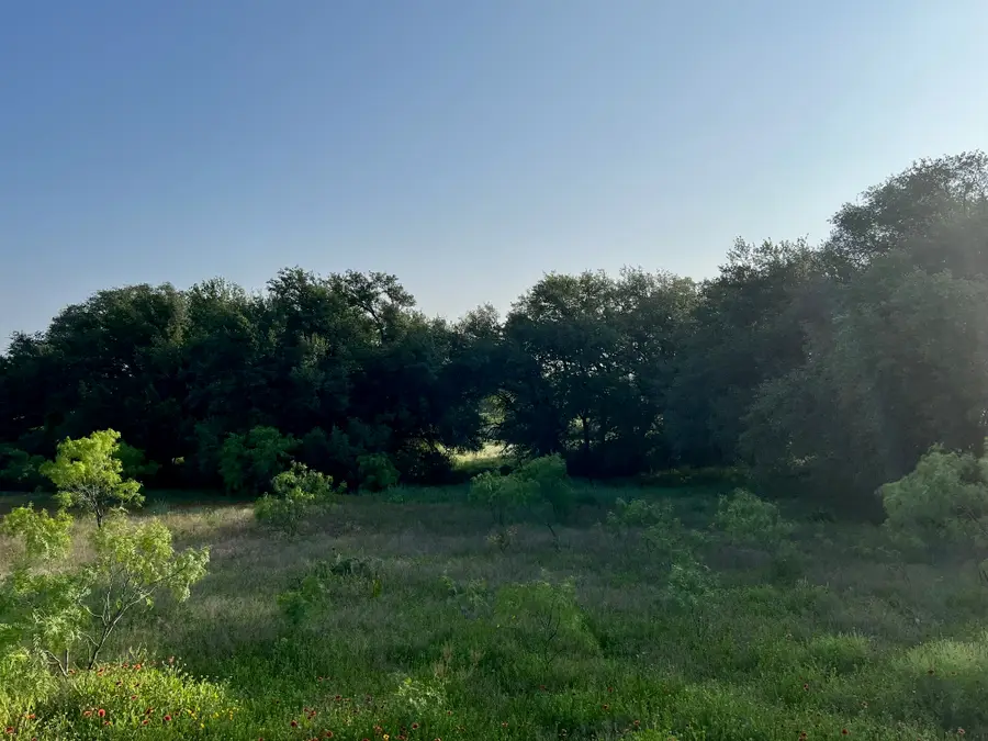 TBD S Hwy 16, Comanche, TX 76442 - #3