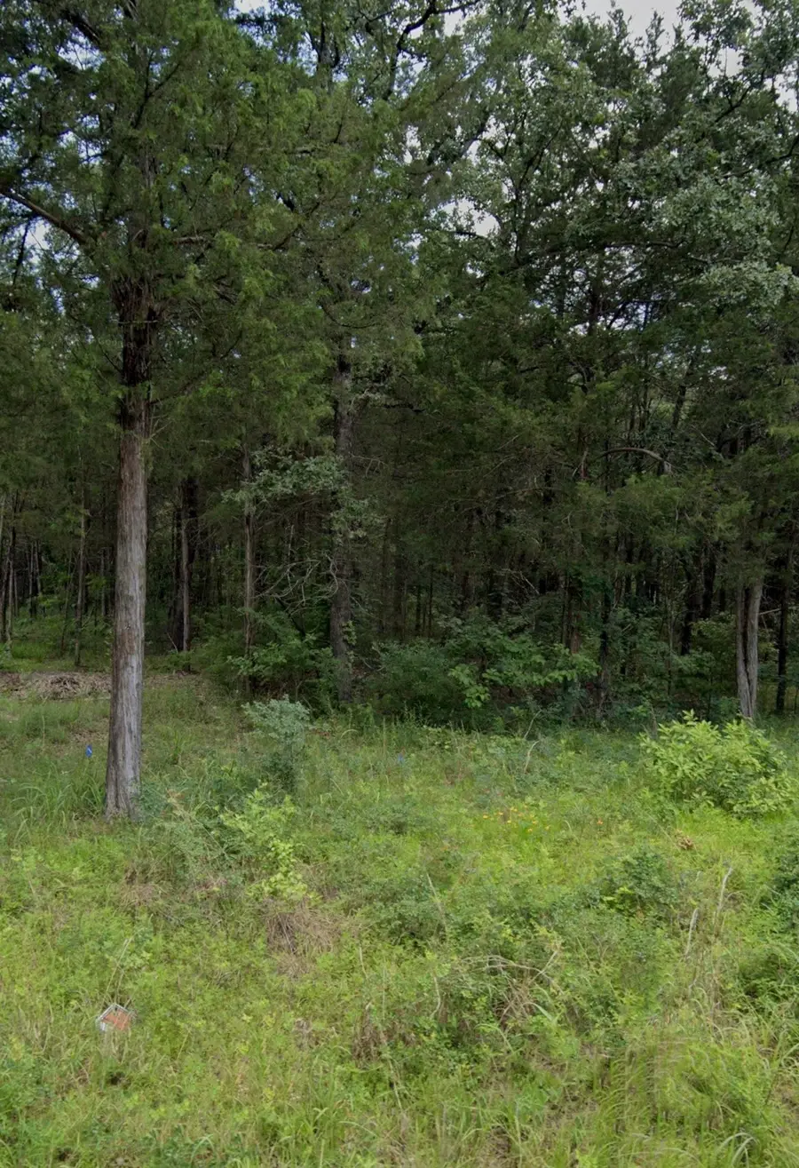 TBD Rs County Road 1180, Emory, TX 75440 - #2