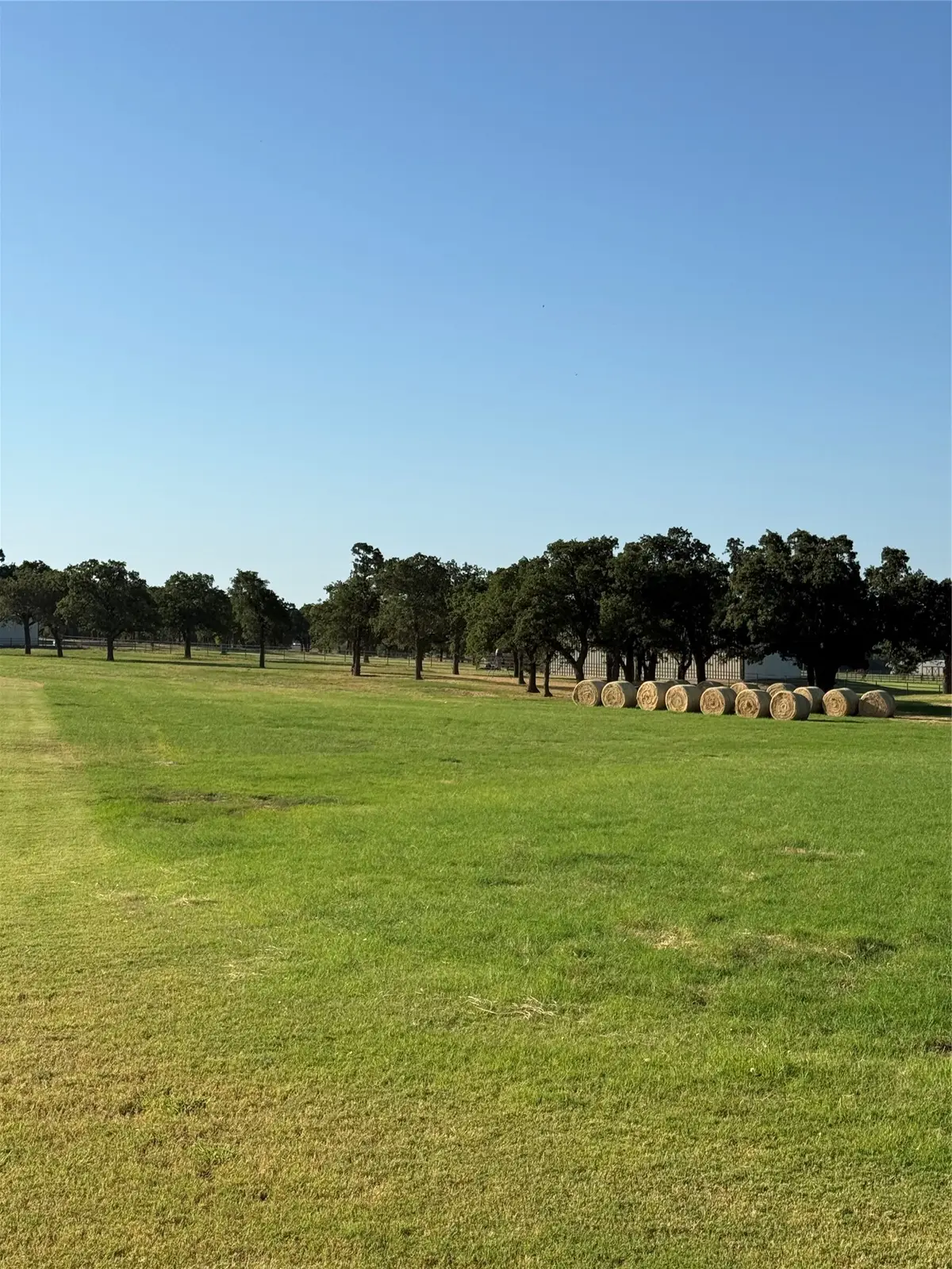 2025 Swallow Tail Court, Poolville, TX 76487 - #1