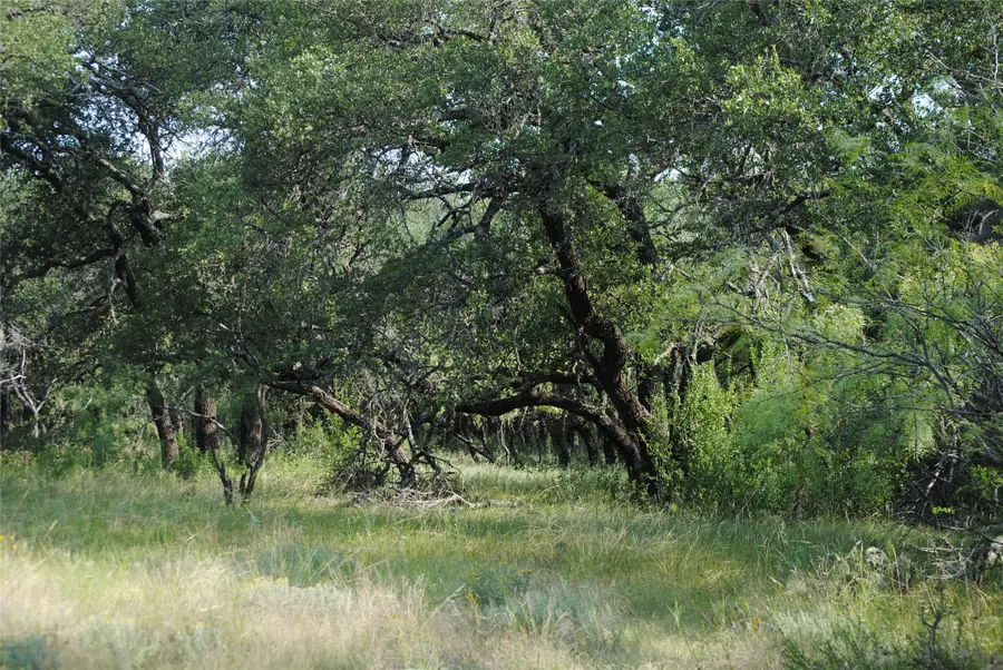 0000 Cr 190, Comanche, TX 76442 - #2