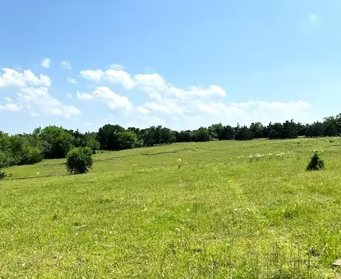TBD Cr 663, Farmersville, TX 75442 - #2