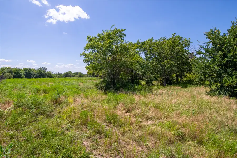 TBD Cr 663, Farmersville, TX 75442 - #3