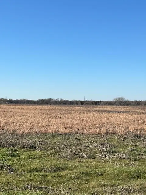 tbd County Road 1240, Savoy, TX 75479 - #1