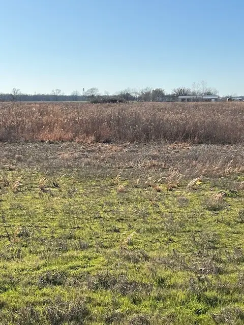 tbd County Road 1240, Savoy, TX 75479 - #2