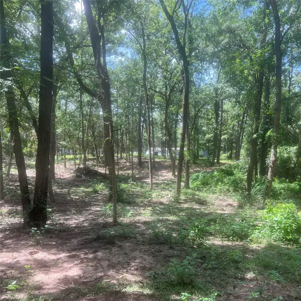 TBD Azalea Lane, Mount Vernon, TX 75457