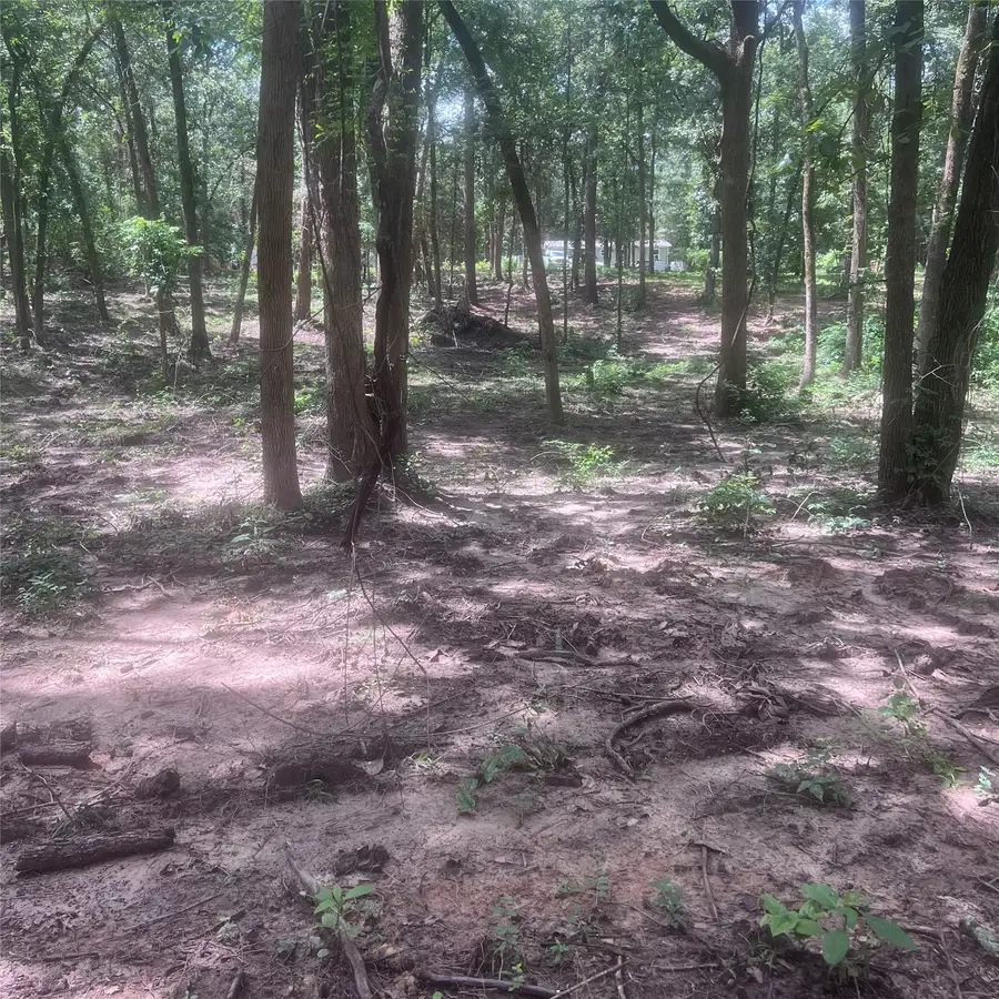 TBD Azalea Lane, Mount Vernon, TX 75457 - #2