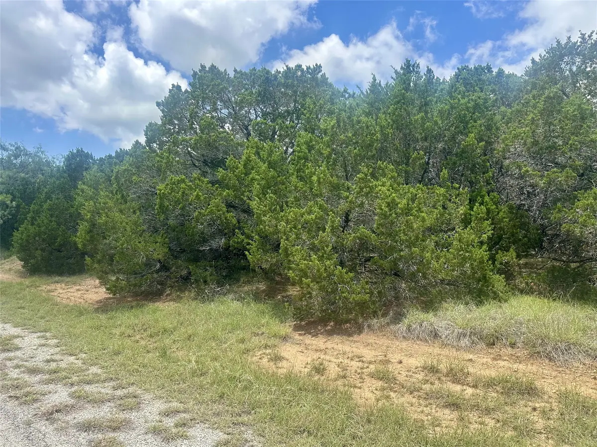 25058 Forrest Drive, Whitney, TX 76692 - #1
