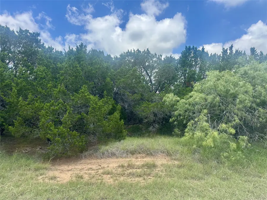 25058 Forrest Drive, Whitney, TX 76692 - #2