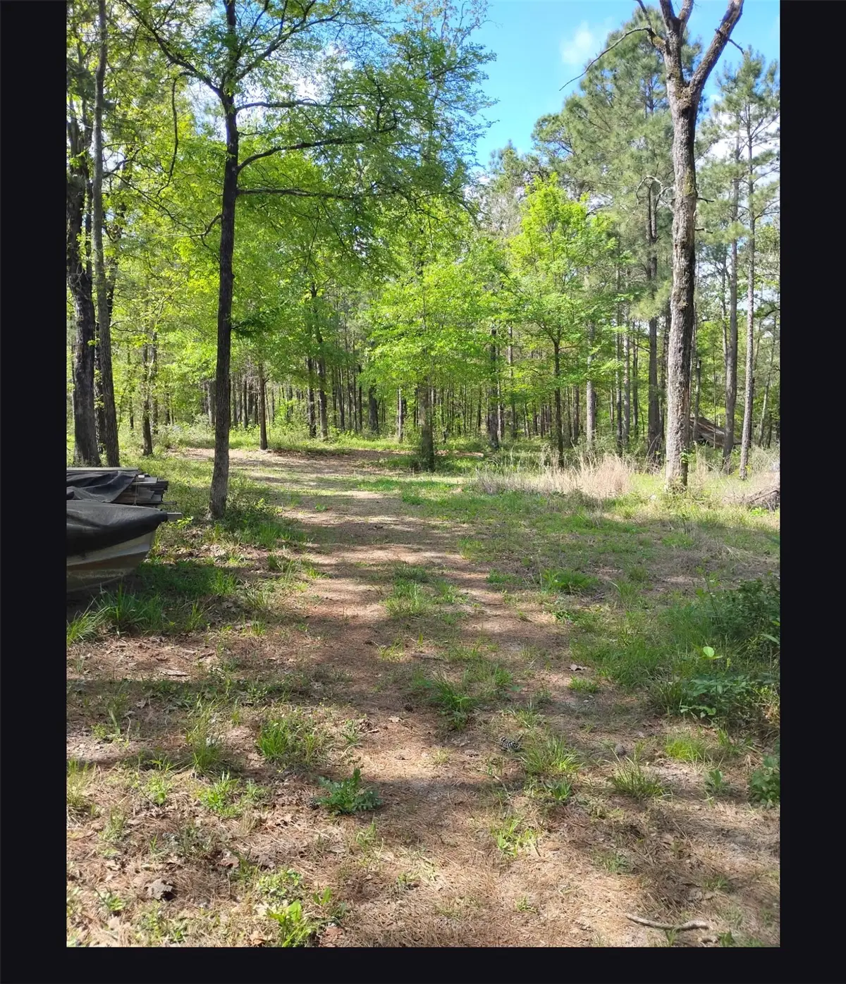 TBD State Hwy 19, Huntsville, TX 77320 - #1
