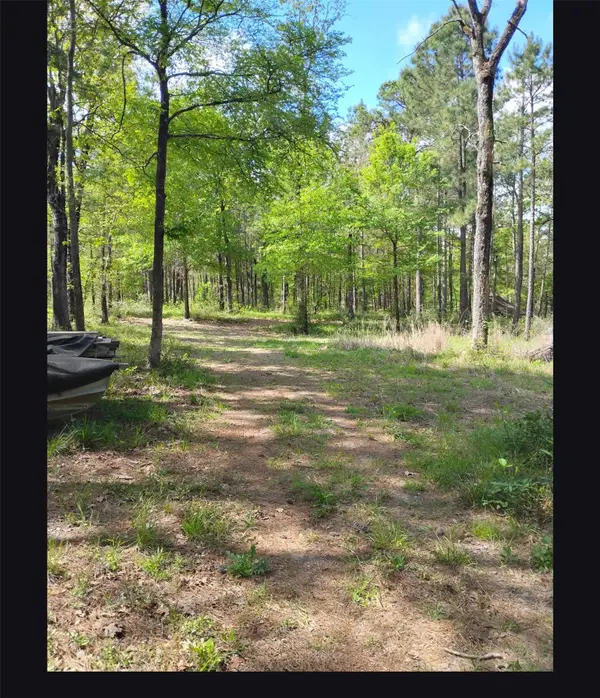 TBD State Hwy 19, Huntsville, TX 77320